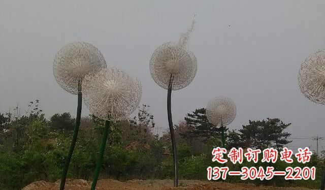 安徽蒲公英的绚丽多彩